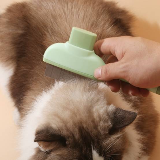 IntiMeg - Peigne à poux pour animaux Jaune IntiMeg - Image 3