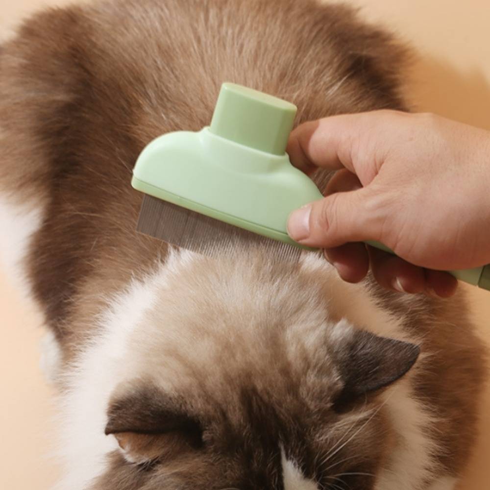 IntiMeg - Peigne à poux pour animaux Jaune IntiMeg - Image 3