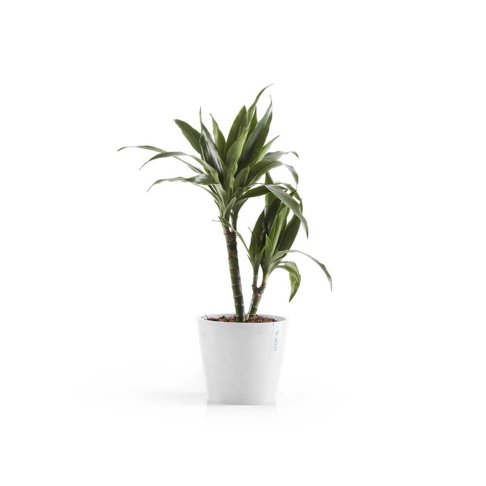 Ecopots - Pot Rond Amsterdam 20 Blanc Pur - Ø 20 x H. 17,5 cm - 4 L ECOPOTS - Imagen 2