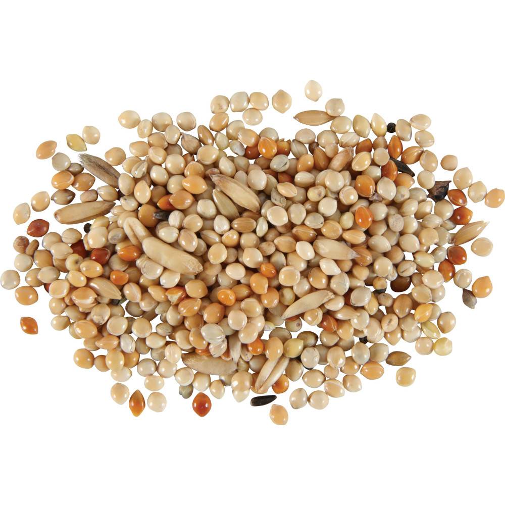 Zolux - Graines pour perruches nutrimeal 800g - Image 1