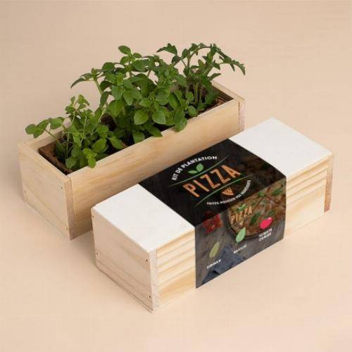 Kit culinaire d'auto culture - Epicés - Imagen 4