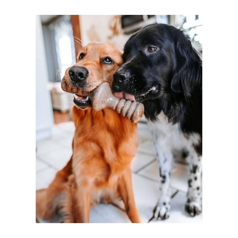 Benebone Puppy Lot De 2 Jouets A Mâcher Pour Chiots Durables Saveur Bacon, Bois D'érable Véritable - Image 3