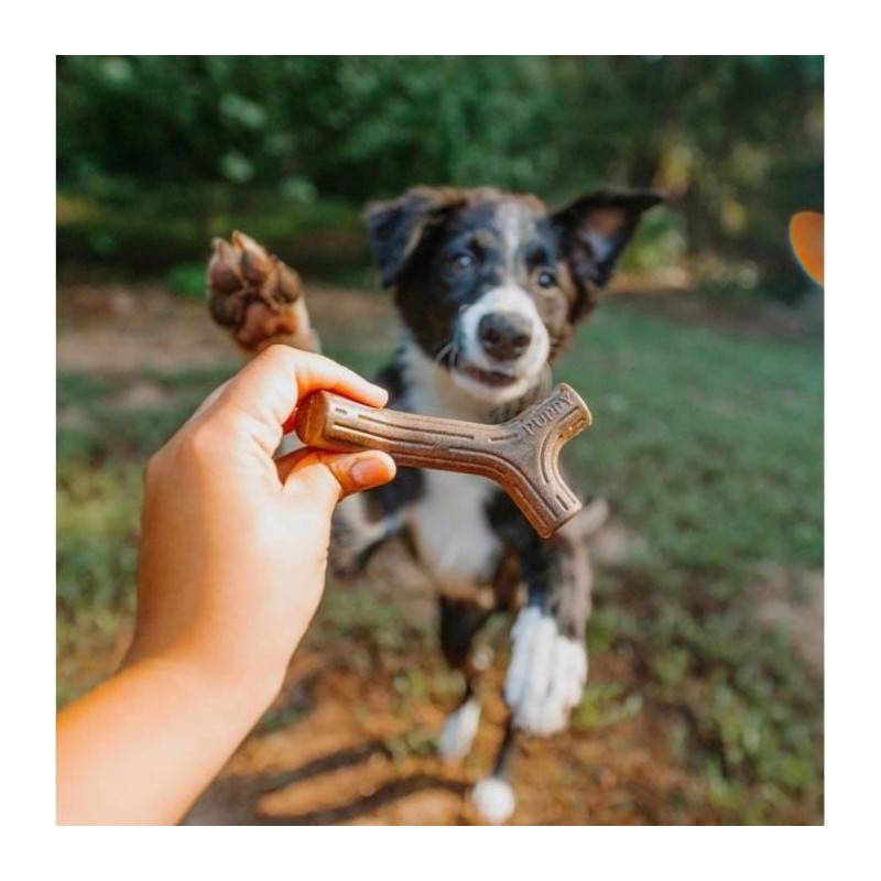 Benebone Puppy Lot De 2 Jouets A Mâcher Pour Chiots Durables Saveur Bacon, Bois D'érable Véritable - Image 5