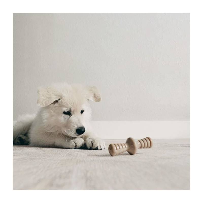Benebone Puppy Lot De 2 Jouets A Mâcher Pour Chiots Durables Saveur Bacon, Bois D'érable Véritable - Image 4