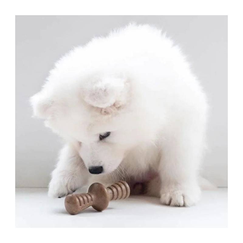 Benebone Puppy Lot De 2 Jouets A Mâcher Pour Chiots Durables Saveur Bacon, Bois D'érable Véritable - Image 6