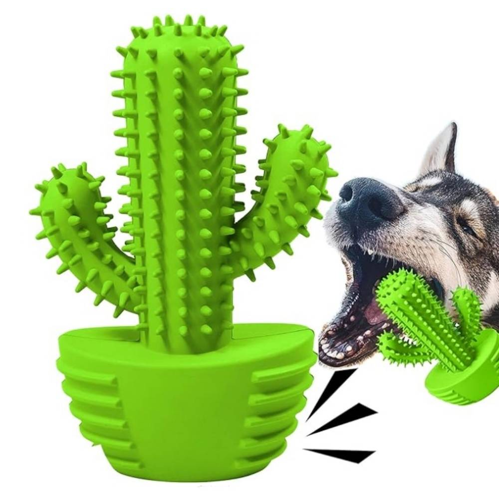 IntiMeg - Jouet couineur à mâcher pour chien Cactus IntiMeg - Image 1