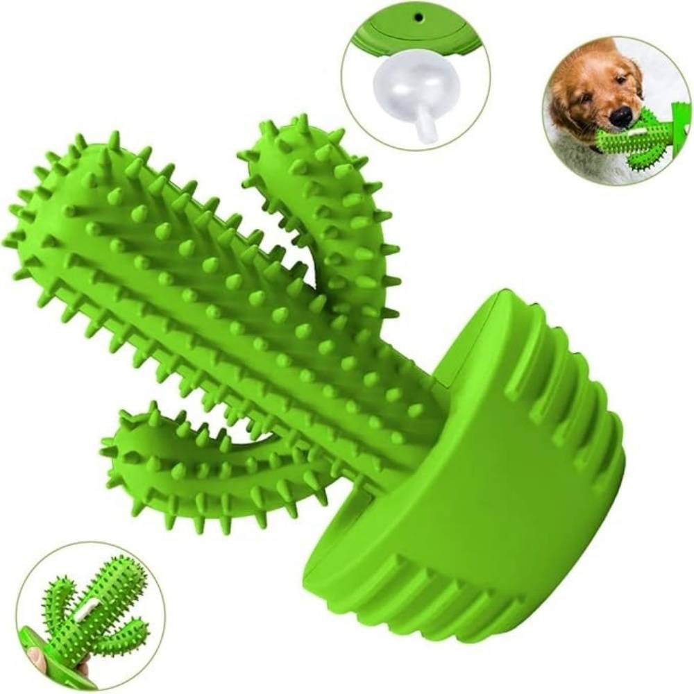 IntiMeg - Jouet couineur à mâcher pour chien Cactus IntiMeg - Image 4