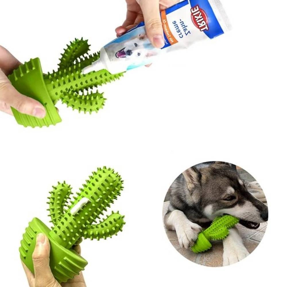 IntiMeg - Jouet couineur à mâcher pour chien Cactus IntiMeg - Image 3