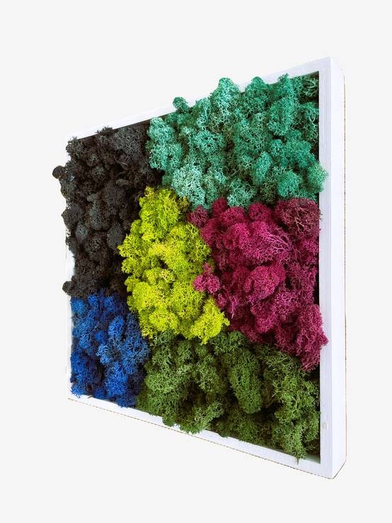Tableau végétal stabilisé Karafuru- tableau végétal - décoration d'intérieur - 35*35 cm - Image 2