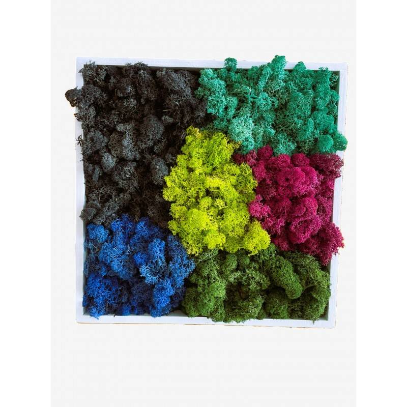 Tableau végétal stabilisé Karafuru- tableau végétal - décoration d'intérieur - 35*35 cm - Image 1