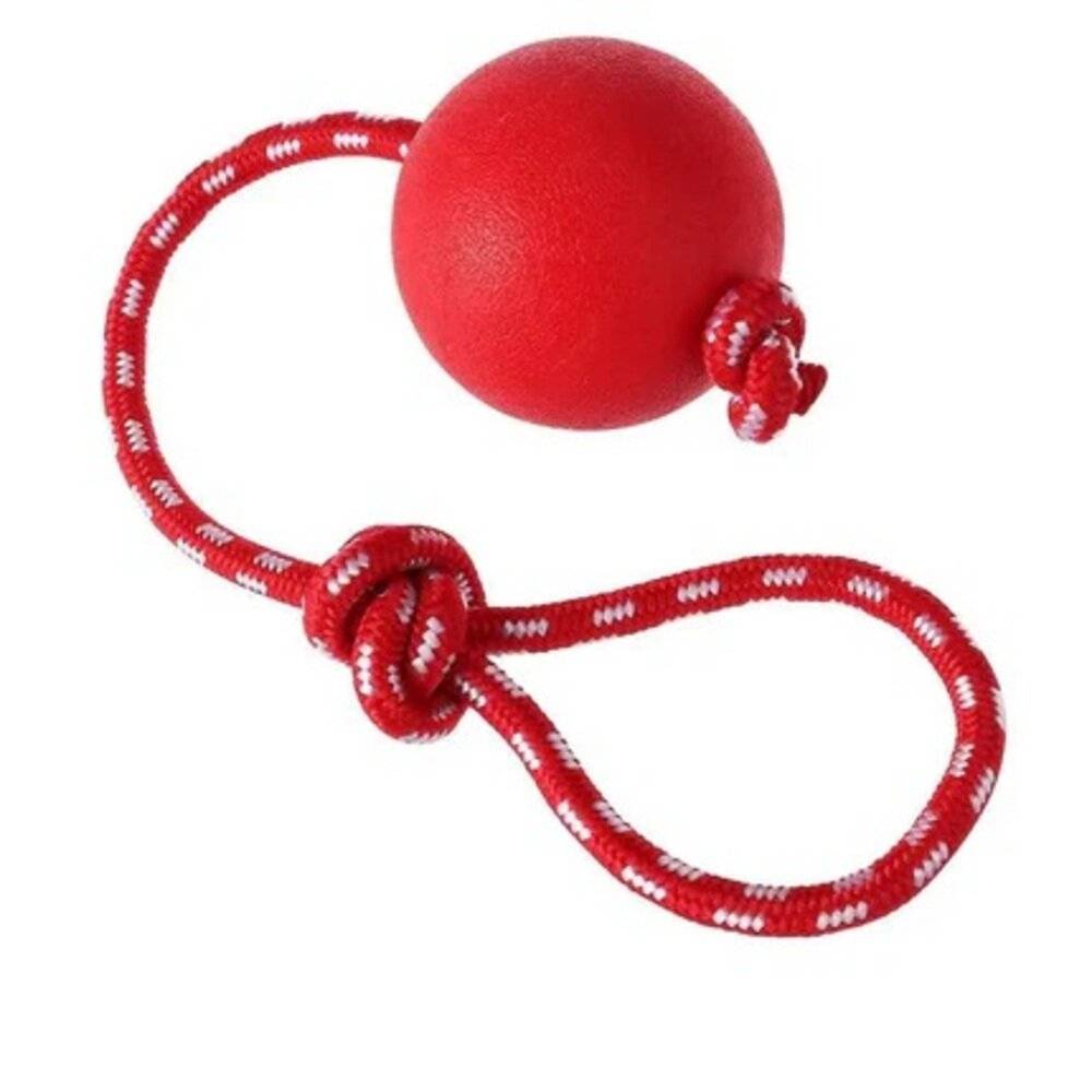 France Croquettes - Balle solide rebondissante 6cm  pour chien, FranceCroquettes - Imagen 1