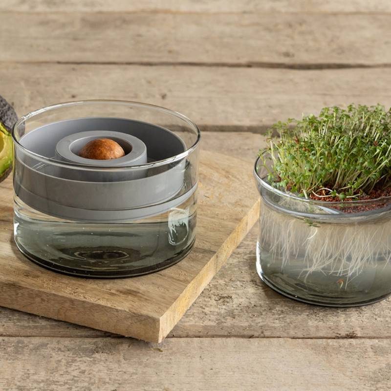 0 - Set de culture de germination en verre et plastique - Gris/Transparent - D 12 cm - Image 4