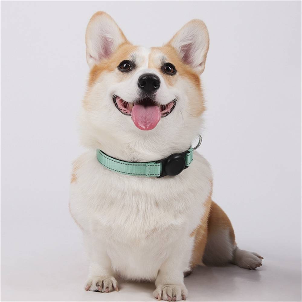 DtopbuyAge - Collier GPS pour chien DtopbuyAge - Image 5
