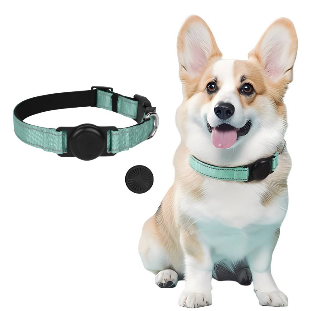 DtopbuyAge - Collier GPS pour chien DtopbuyAge - Image 1