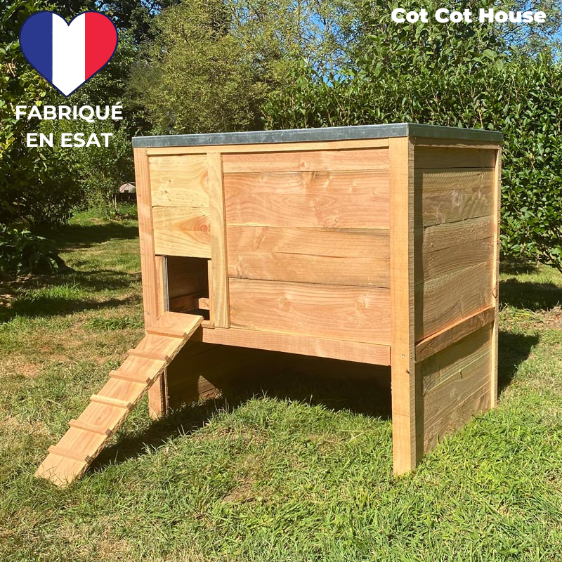 Poulailler 4 poules solide et pratique - modèle Houdan - Cot Cot House