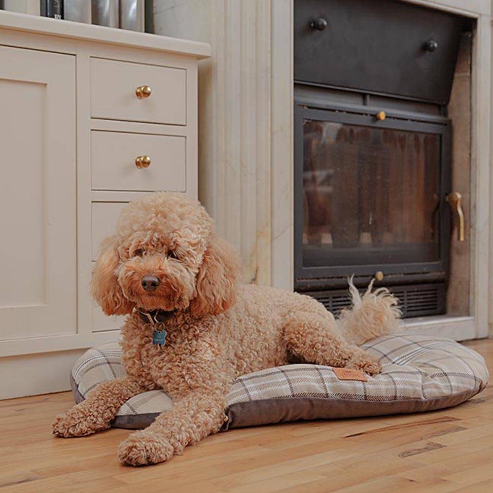 Ferplast - Coussin rembourré pour chiens et chats SCOTT 78/8, double-face, écossais, velours doux, lavable, Bleu - Imagen 4