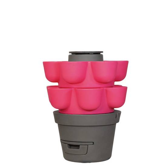 WORMgarden Fuchsia 2 jardinières - Image 2