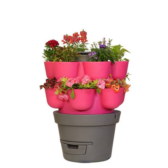 WORMgarden Fuchsia 2 jardinières - Image 1