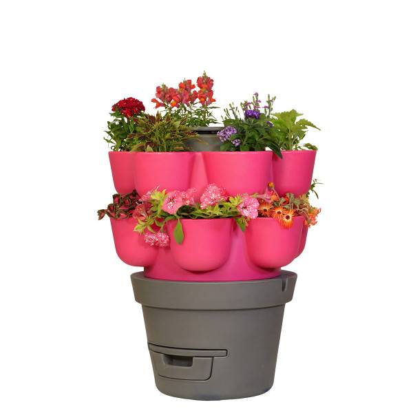 WORMgarden Fuchsia 2 jardinières - Image 1