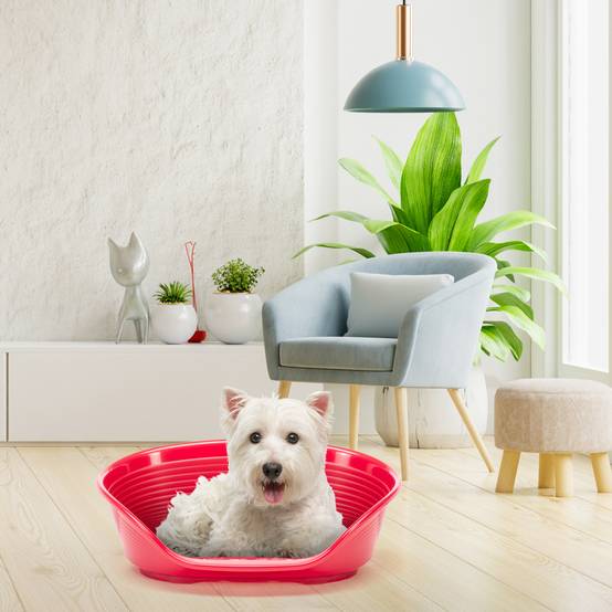 Ferplast - FERPLAST - Panier Chien Panier Chat - Lit pour Chien en Plastique Small - 100% Plastique Recyclé - Lit pou Chat Lavable - Respirant Antidérapant - - Image 4