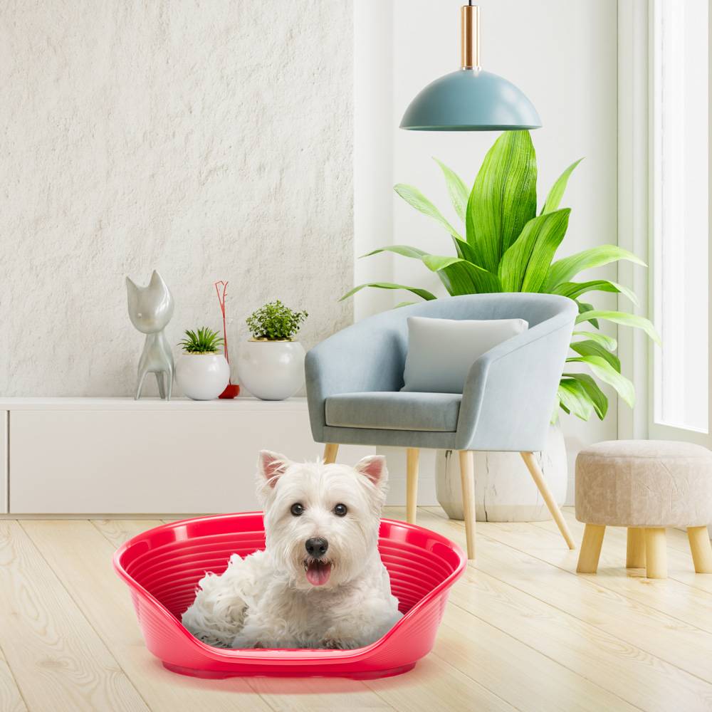 Ferplast - FERPLAST - Panier Chien Panier Chat  - Lit pour Chien en Plastique Small - 100% Plastique Recyclé - Lit pou Chat Lavable - Respirant  Antidérapant - - Image 4
