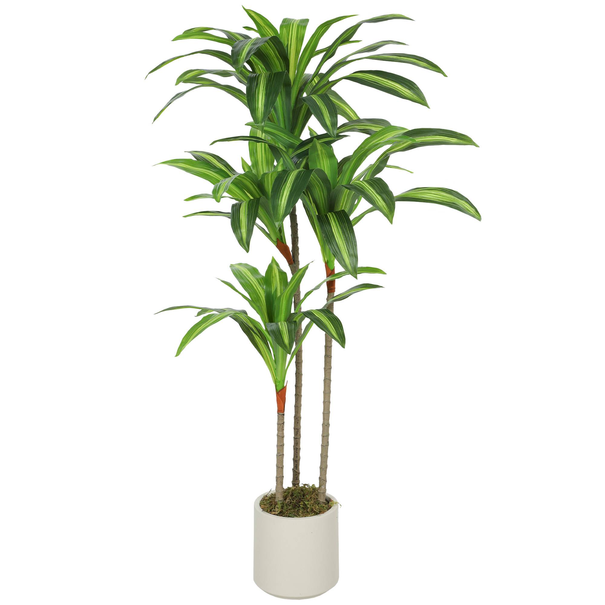 Dracena artificielle verte PEVA/bois, pot PP/ciment, 60x40x120cm - Image 2