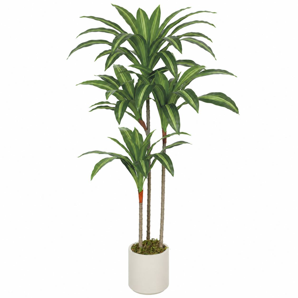Dracena artificielle verte PEVA/bois, pot PP/ciment, 60x40x120cm - Image 1