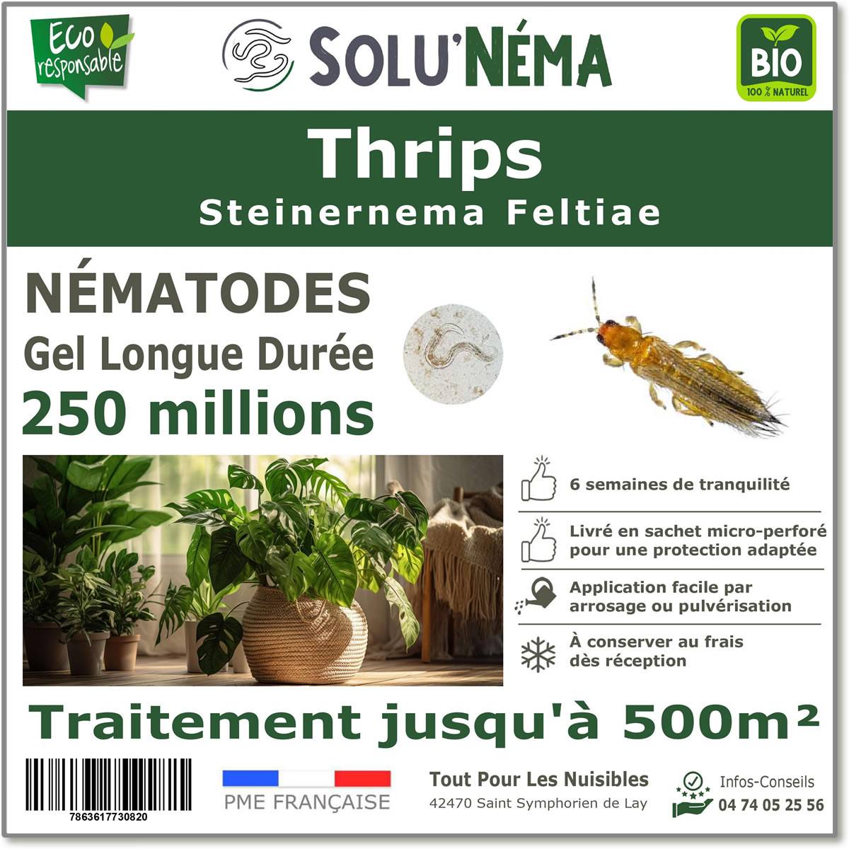 Tout pour les nuisibles - Solunéma - Thrips - Traitement à base de nématodes Steinernema Feltiae (SF) - 250 millions pour traiter jusqu'à 500 m²