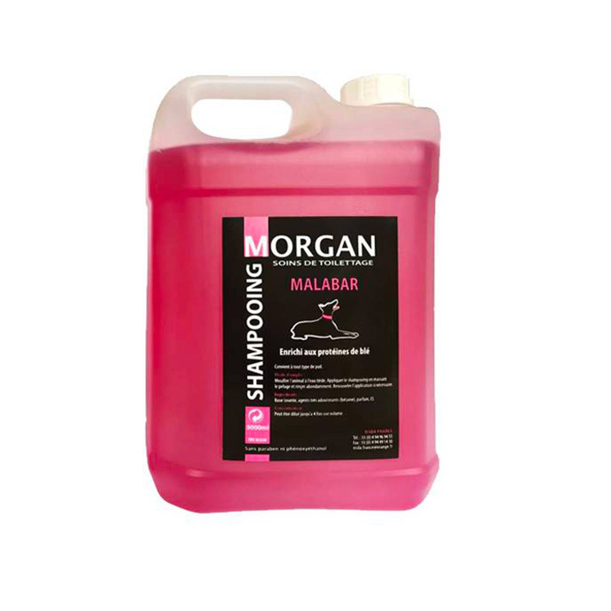 Shampoing protéiné senteur Malabar Morgan : 5 litres MORGAN