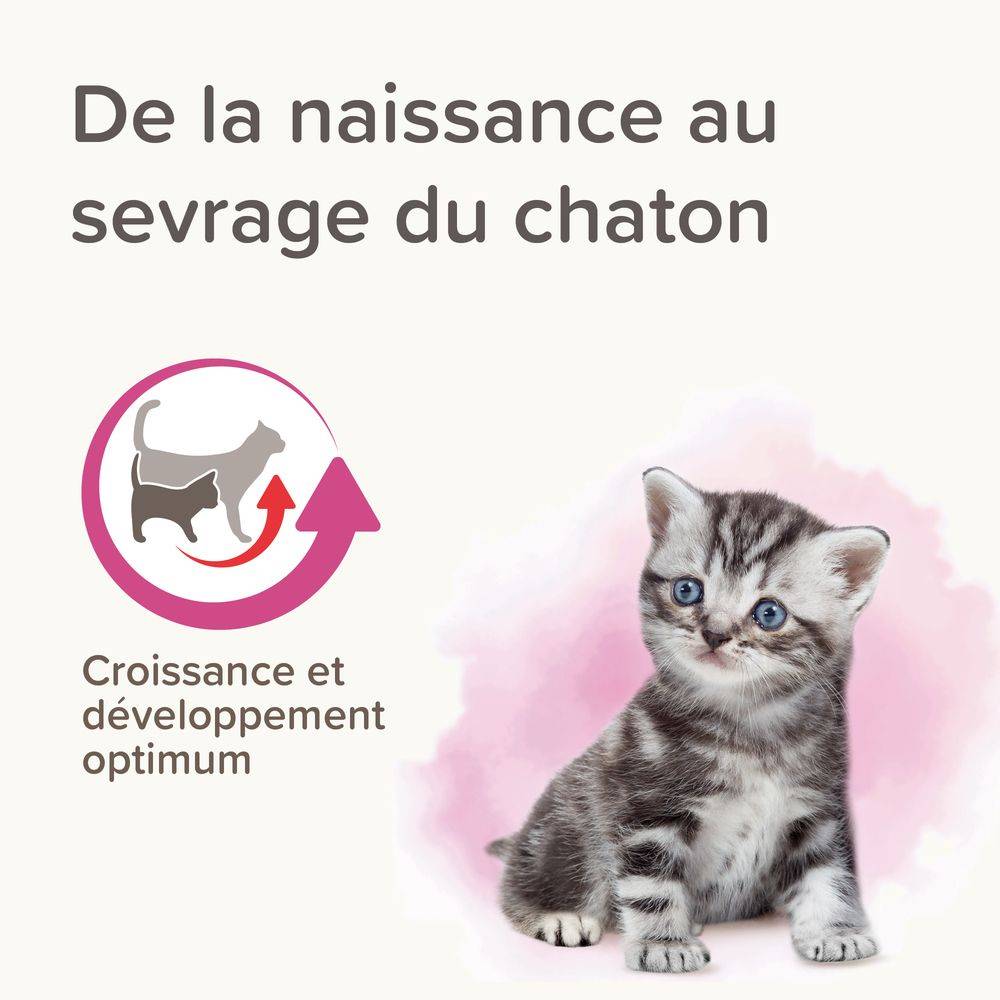 Lait maternisé chaton - Beaphar 500 g - Imagen 2