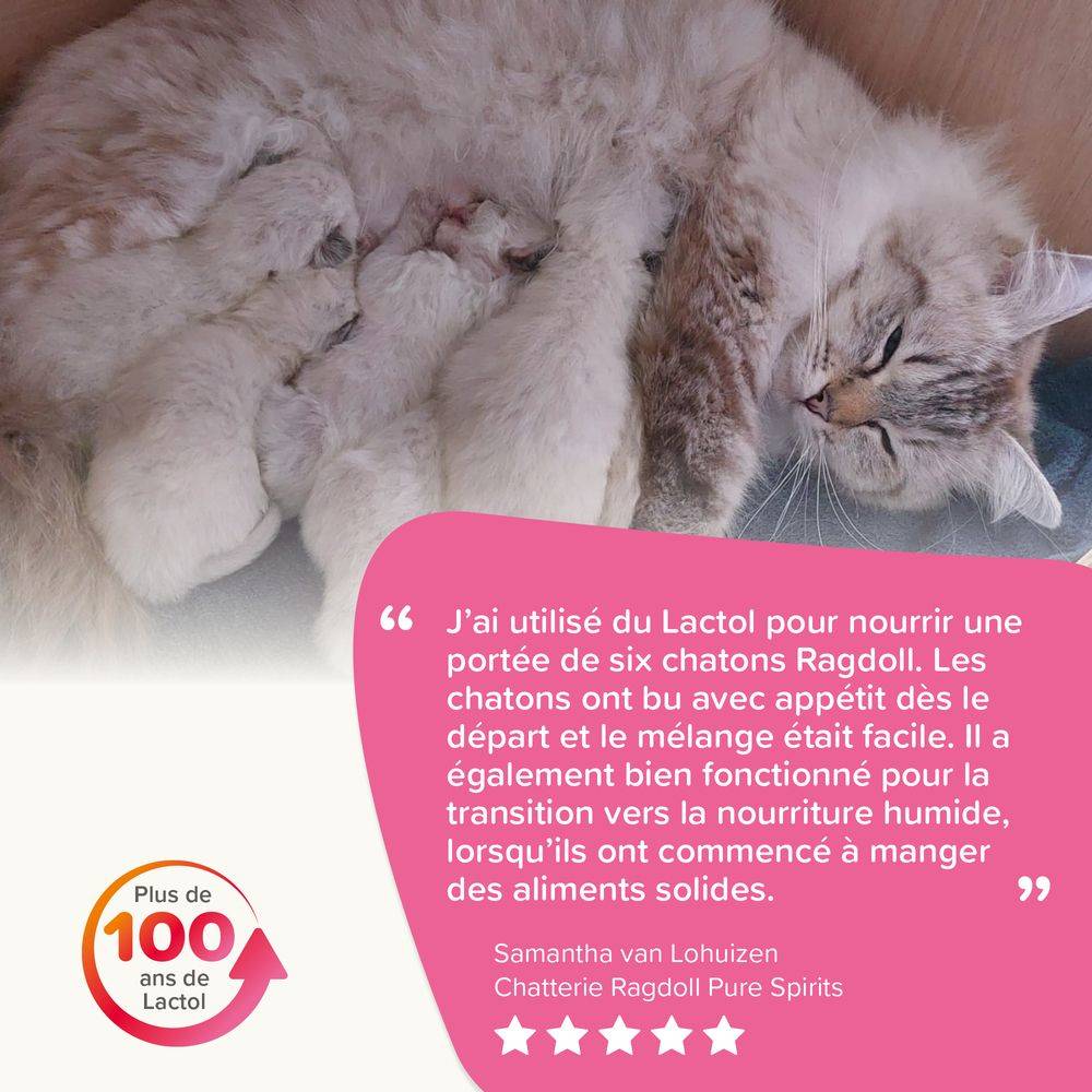 Lait maternisé chaton - Beaphar 500 g - Imagen 5