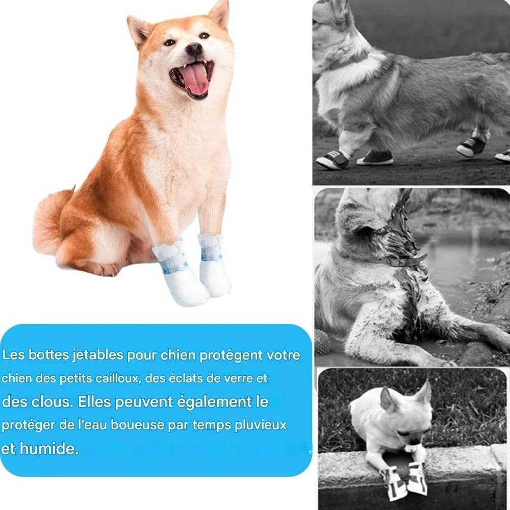 DtopbuyAge - 20 pièces de protections de pattes pour chiens M DtopbuyAge - Image 4
