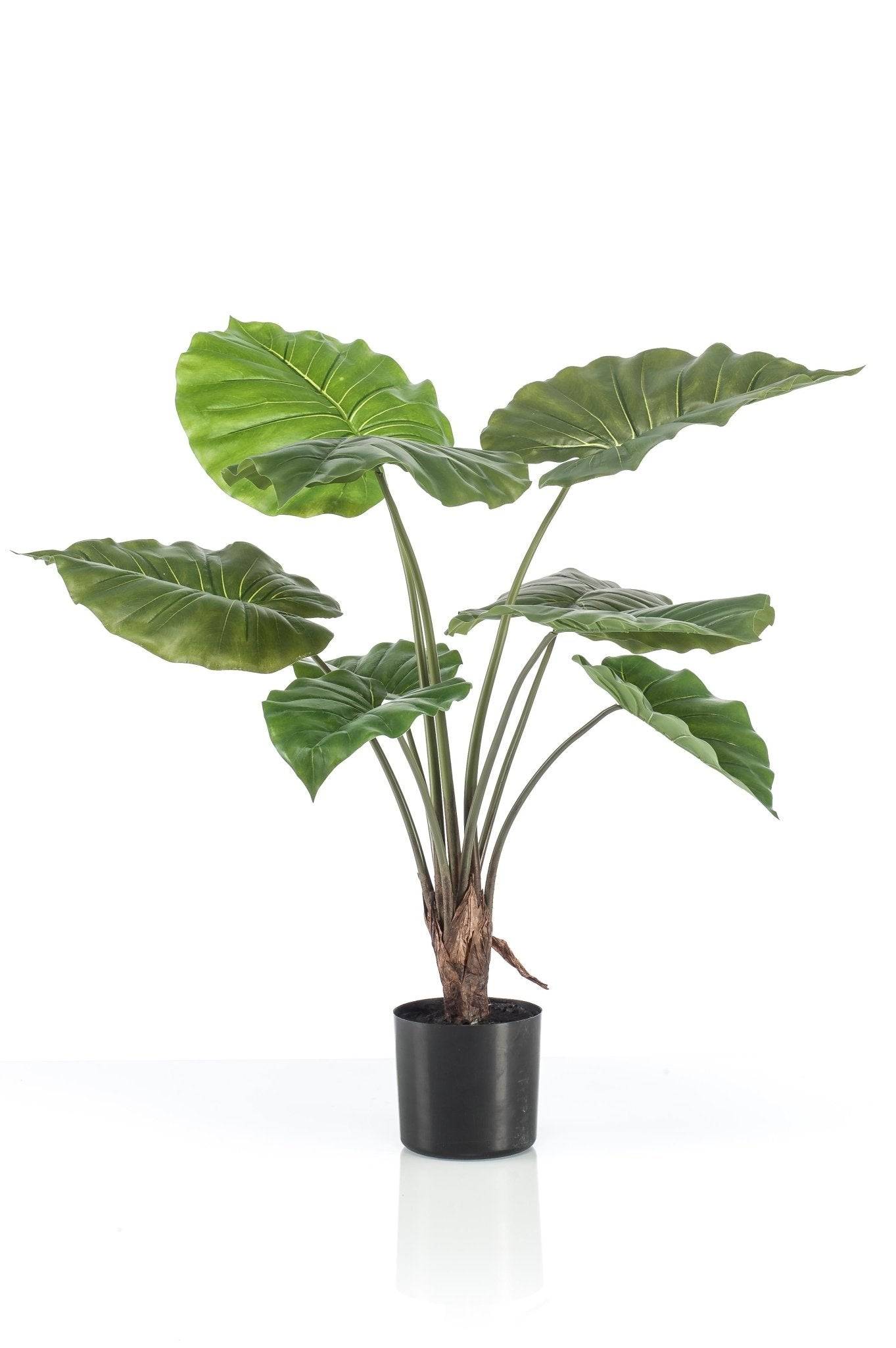 La Green Touch - Alocasia plante artificielle - h70cm, Ø12cm- La Green Touch - Imagen 6