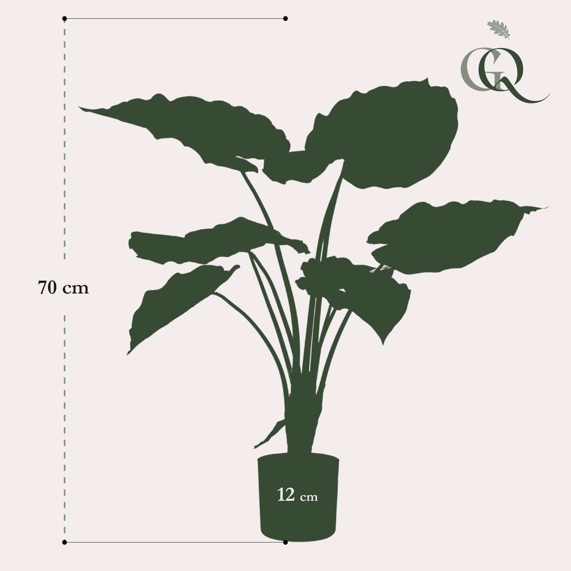 La Green Touch - Alocasia plante artificielle - h70cm, Ø12cm- La Green Touch - Imagen 4