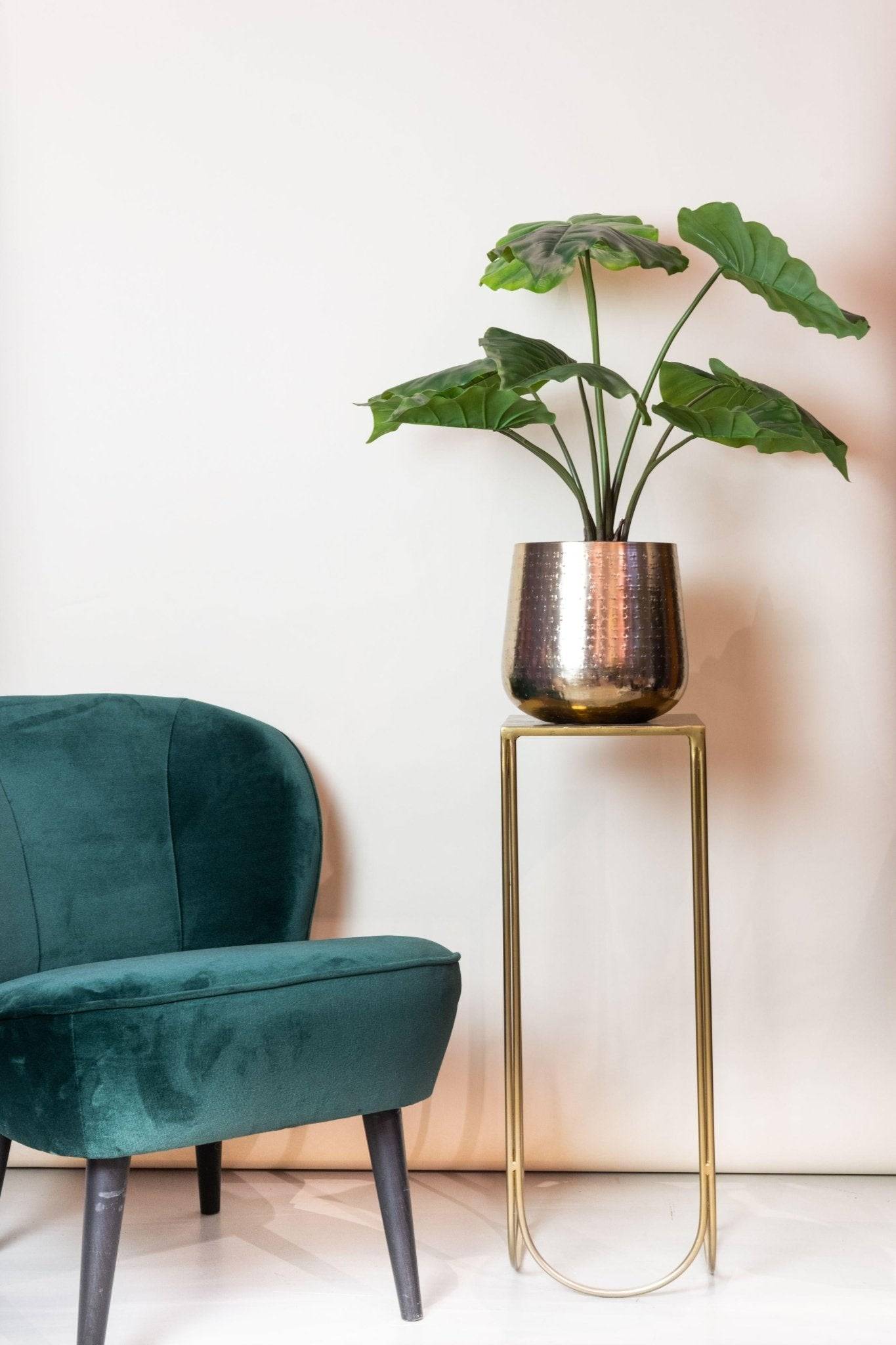 La Green Touch - Alocasia plante artificielle - h70cm, Ø12cm- La Green Touch - Imagen 5