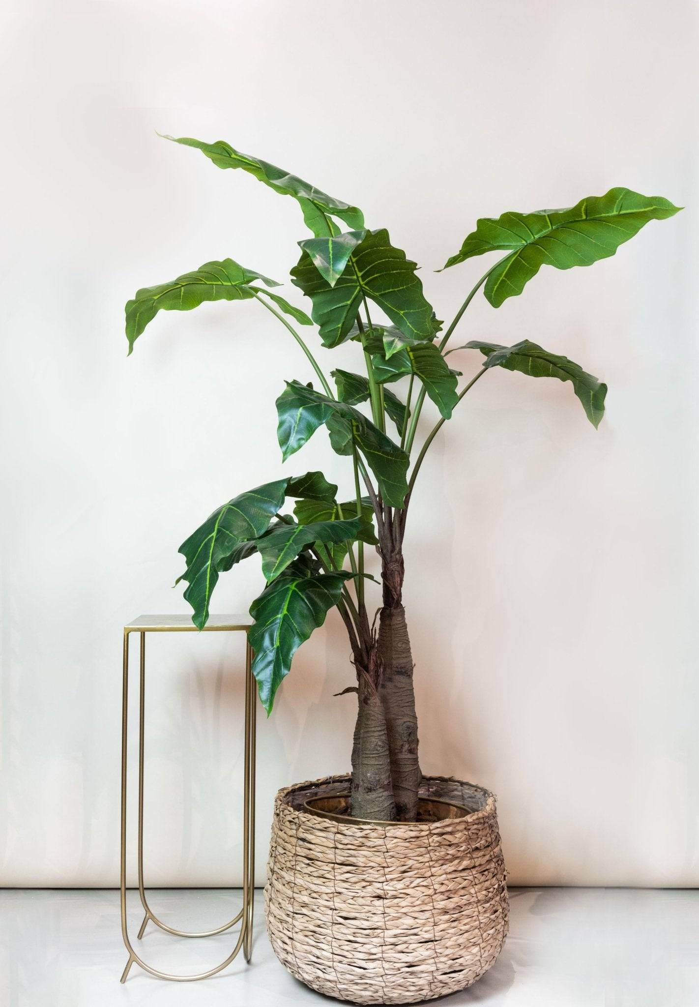 La Green Touch - Alocasia plante artificielle - h180cm, Ø15cm- La Green Touch - Imagen 6