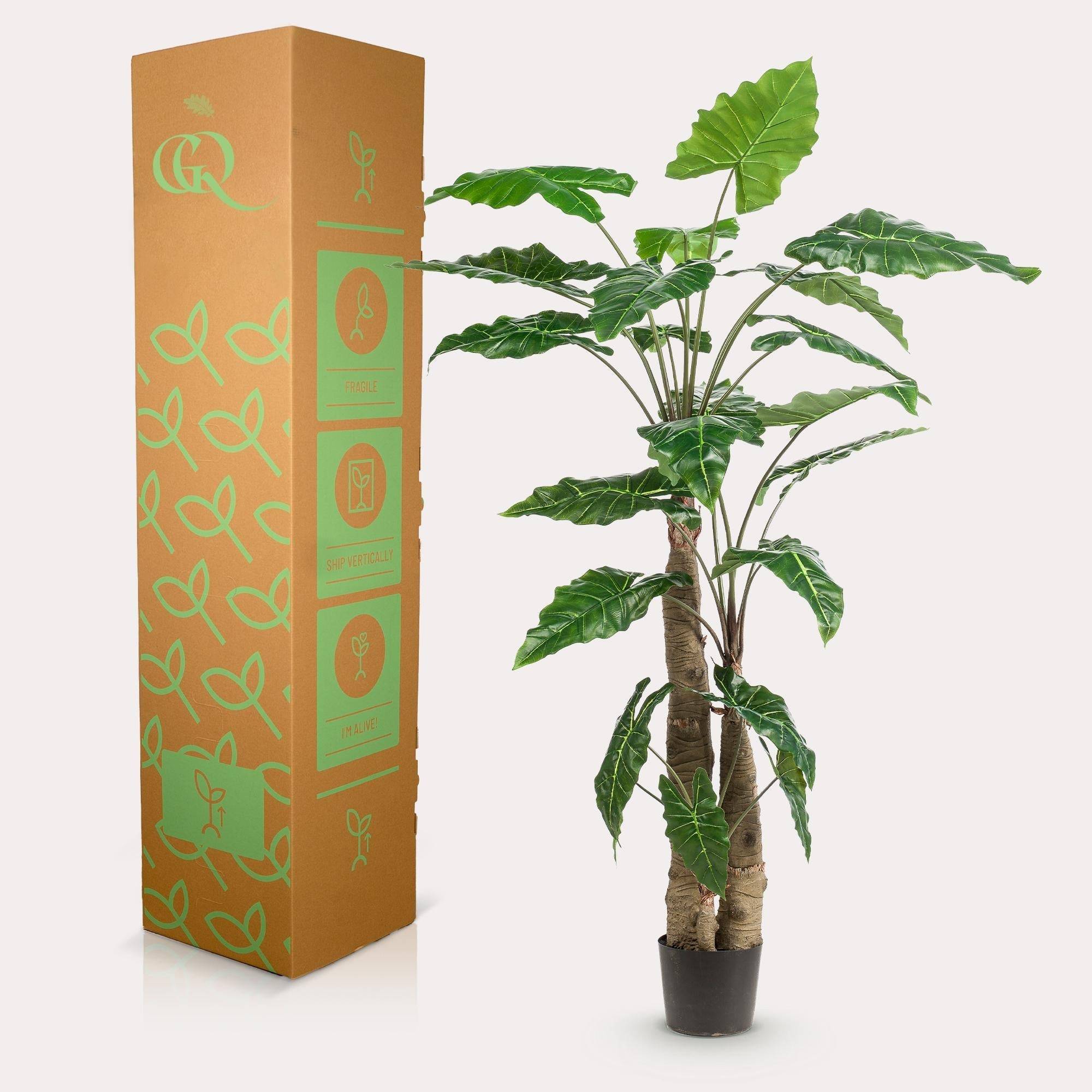 La Green Touch - Alocasia plante artificielle - h180cm, Ø15cm- La Green Touch - Imagen 4