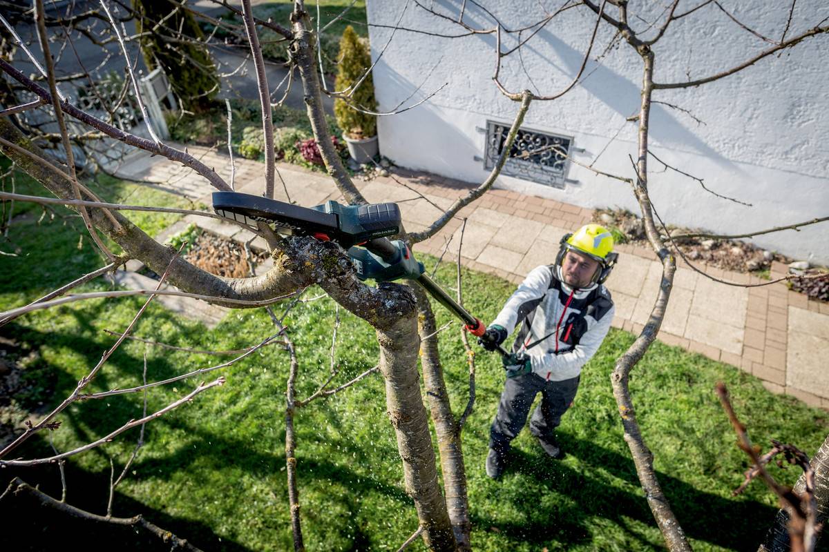 Metabo - Scie à élaguer sans fil MS 18 LTX 15 - Solo en Métabox 145 L sans piles ni chargeur - 18 V/2.0 Ah - METABO - 600856840 - Imagen 4