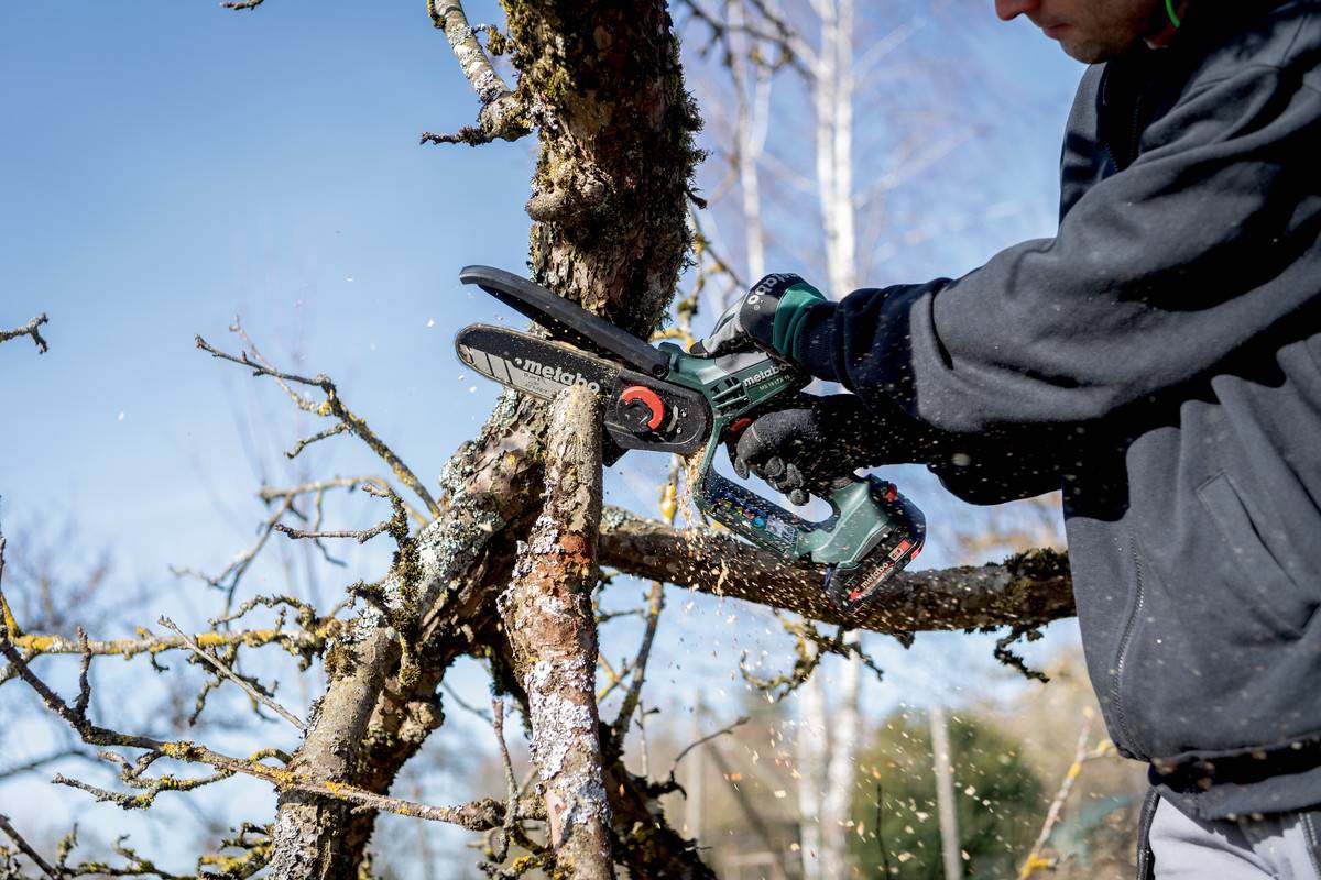 Metabo - Scie à élaguer sans fil MS 18 LTX 15 - Solo en Métabox 145 L sans piles ni chargeur - 18 V/2.0 Ah - METABO - 600856840 - Imagen 5