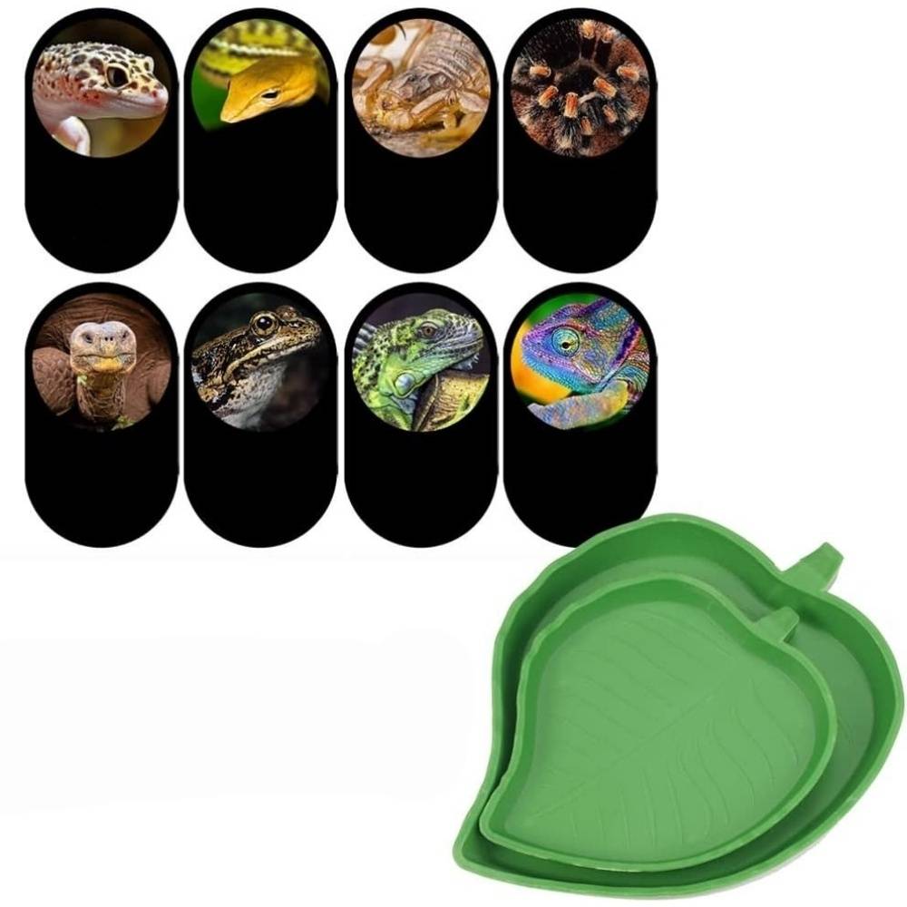 2PC Bol Alimentation Et Eau Pour Tortues Lézards Hamsters - Lytech - Image 3