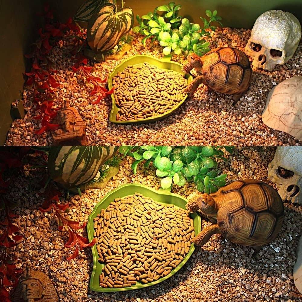 2PC Bol Alimentation Et Eau Pour Tortues Lézards Hamsters - Lytech - Image 4