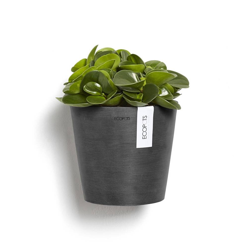 Ecopots - Pot suspension mural Amsterdam Wall Gris Foncé - Ø 20 x H. 17,5 cm - 4 L ECOPOTS - Imagen 3