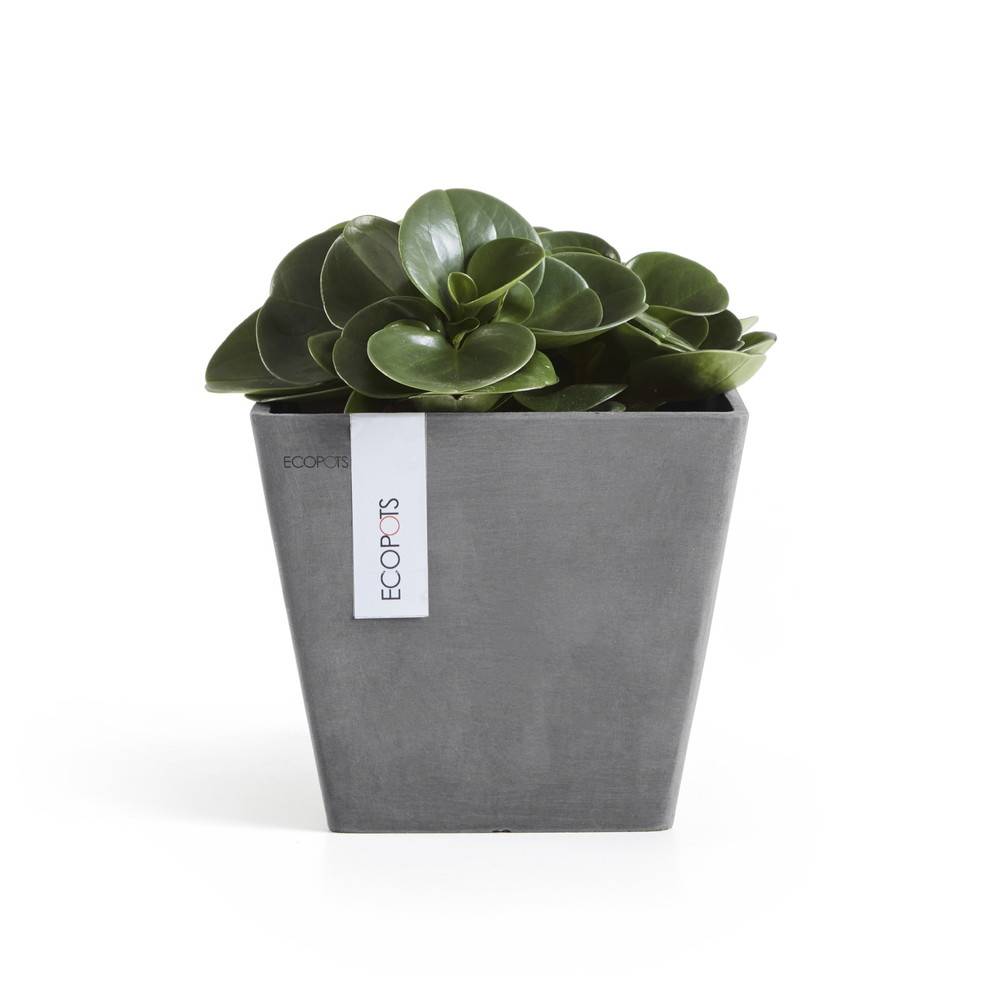 Ecopots - Pot Carré Rotterdam 20 Gris - 20 x 20 x H. 17,5 cm - 5,2 L ECOPOTS - Imagen 1