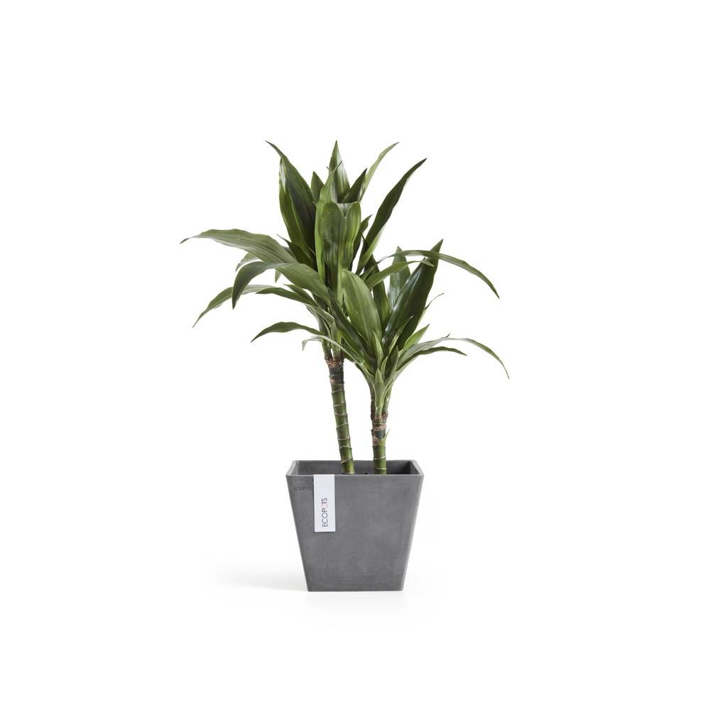 Ecopots - Pot Carré Rotterdam 20 Gris - 20 x 20 x H. 17,5 cm - 5,2 L ECOPOTS - Imagen 3