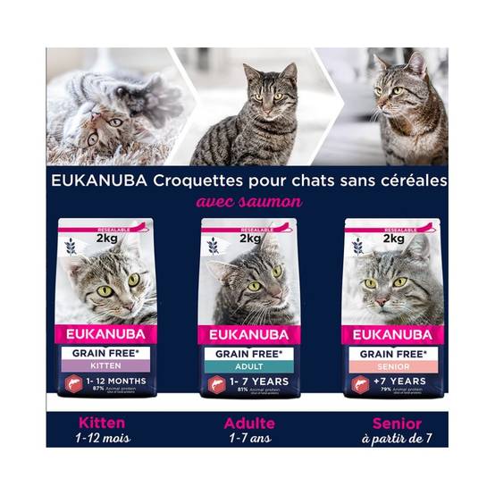 Eukanuba - Eukanuba - Croquettes Sans Céréales au Saumon pour Chaton - Image 6