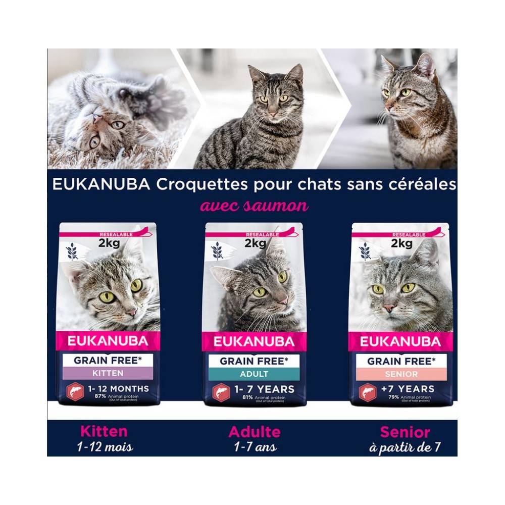 Eukanuba - Eukanuba - Croquettes Sans Céréales au Saumon pour Chaton - Image 6