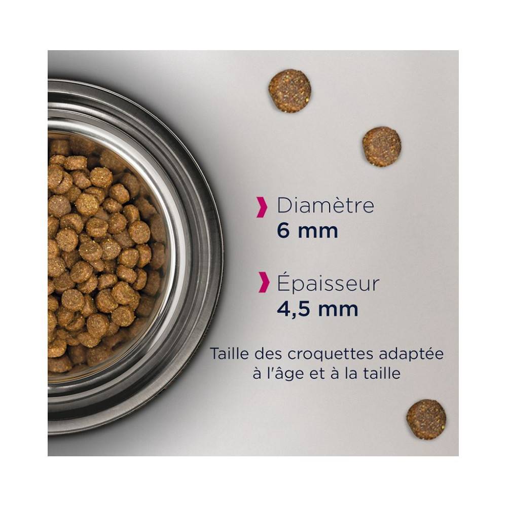 Eukanuba - Eukanuba - Croquettes Sans Céréales au Saumon pour Chaton - Image 4
