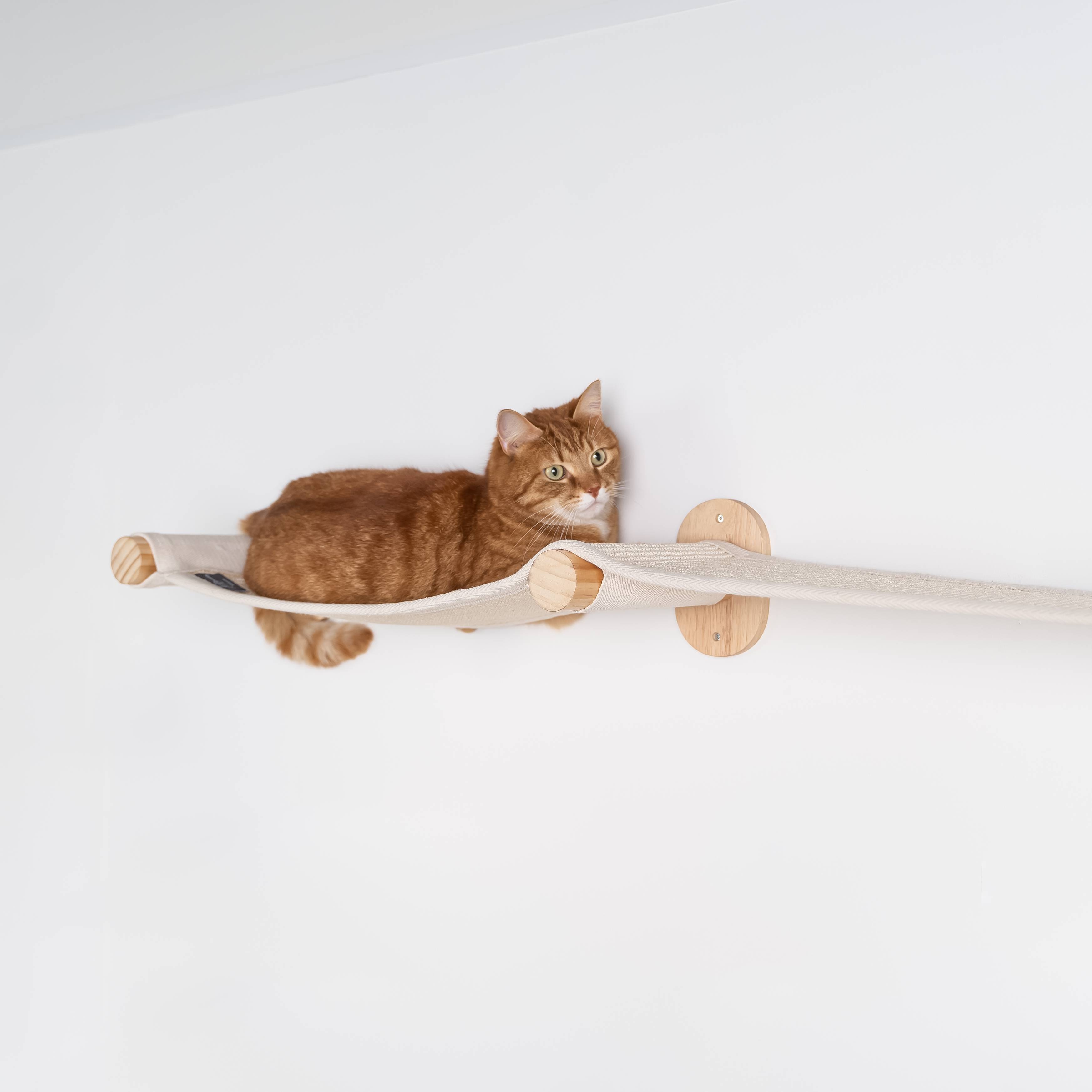 Rhr Concepts Bv - Meuble de mur Mur d'escalade Chat - Pont de mur (Beige) - RHR Concepts BV - Imagen 2