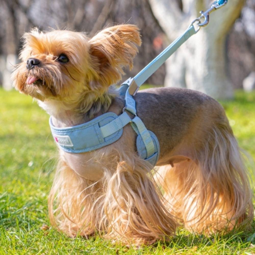 IntiMeg - Harnais pour petit chien M IntiMeg - Image 8