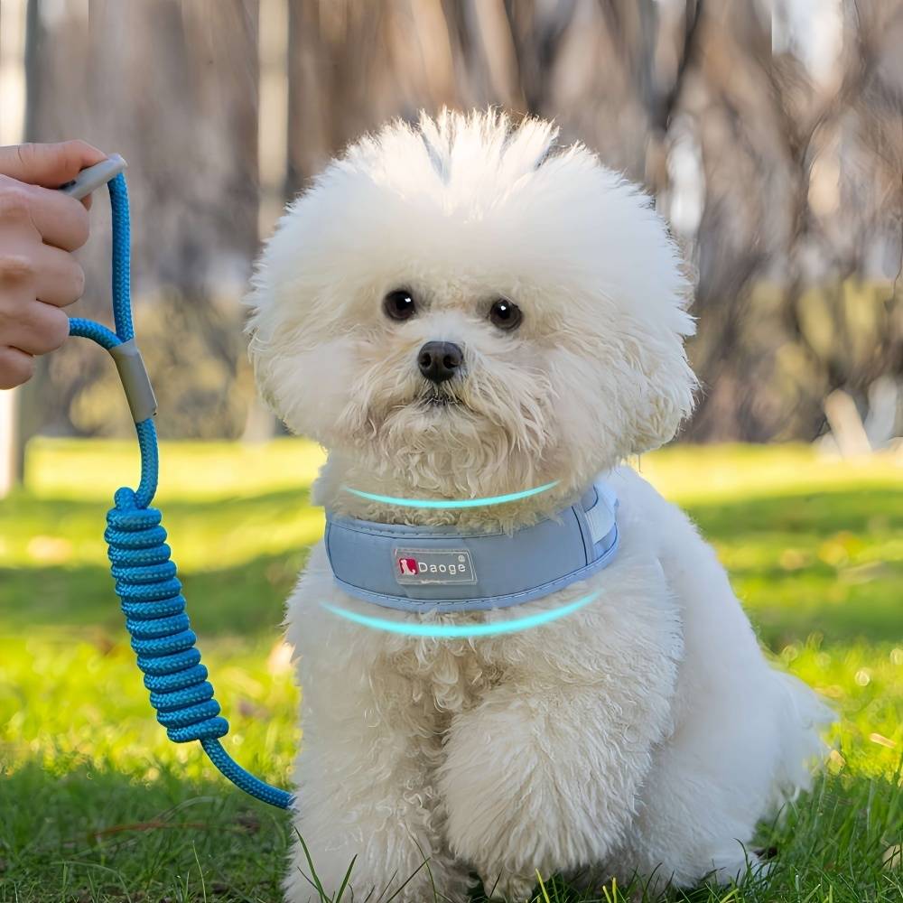 IntiMeg - Harnais pour petit chien M IntiMeg - Image 5